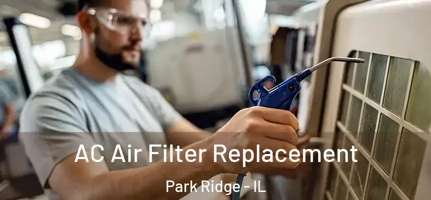  AC Air Filter Replacement Park Ridge - IL