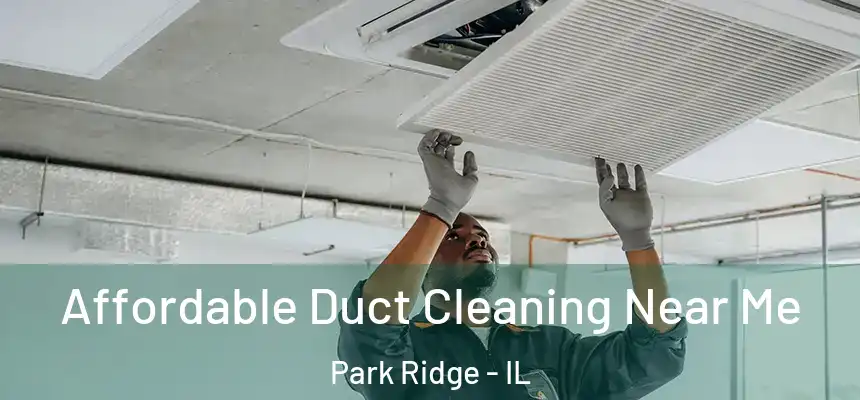 Affordable Duct Cleaning Near Me Park Ridge - IL