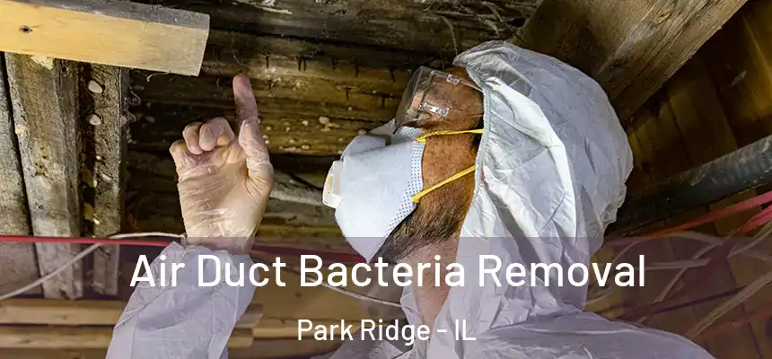 Air Duct Bacteria Removal Park Ridge - IL