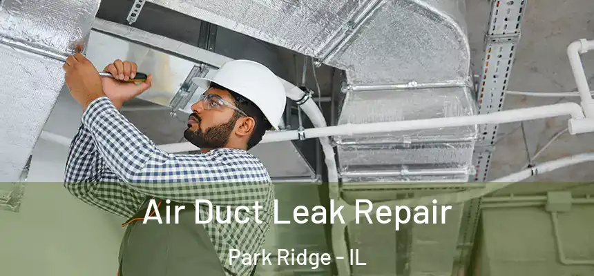 Air Duct Leak Repair Park Ridge - IL