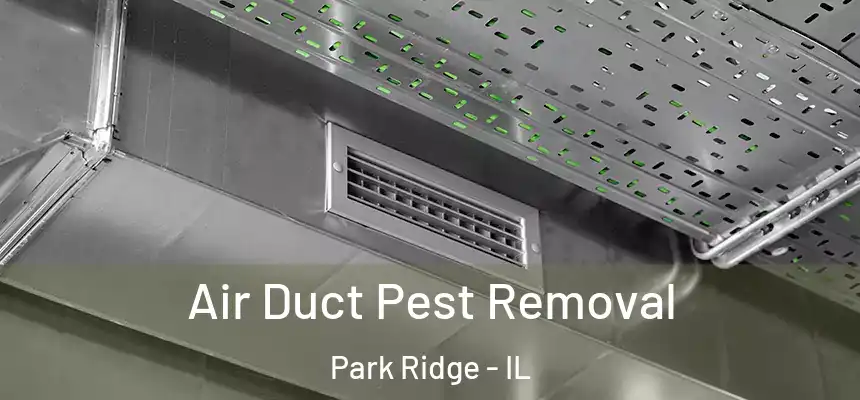 Air Duct Pest Removal Park Ridge - IL