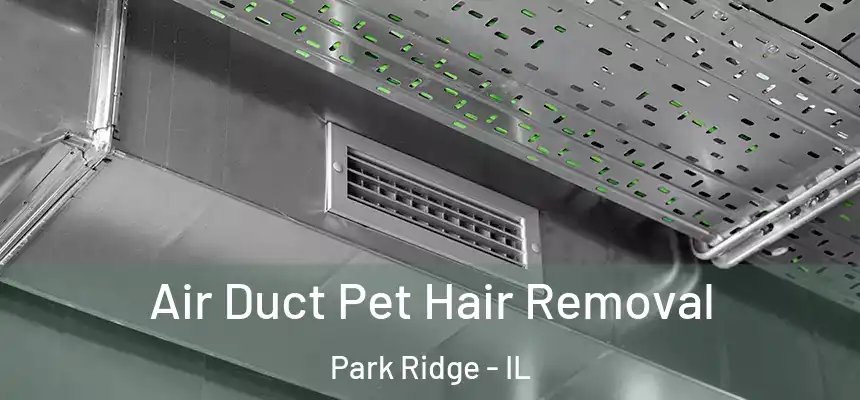 Air Duct Pet Hair Removal Park Ridge - IL