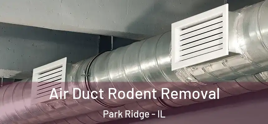 Air Duct Rodent Removal Park Ridge - IL