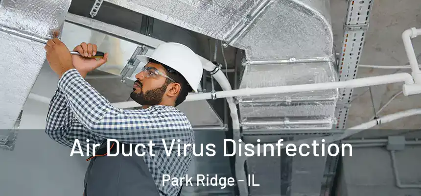 Air Duct Virus Disinfection Park Ridge - IL
