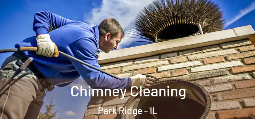  Chimney Cleaning Park Ridge - IL