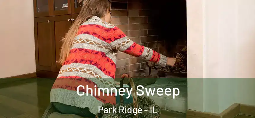  Chimney Sweep Park Ridge - IL