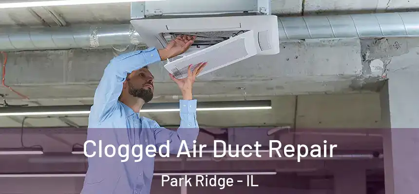 Clogged Air Duct Repair Park Ridge - IL