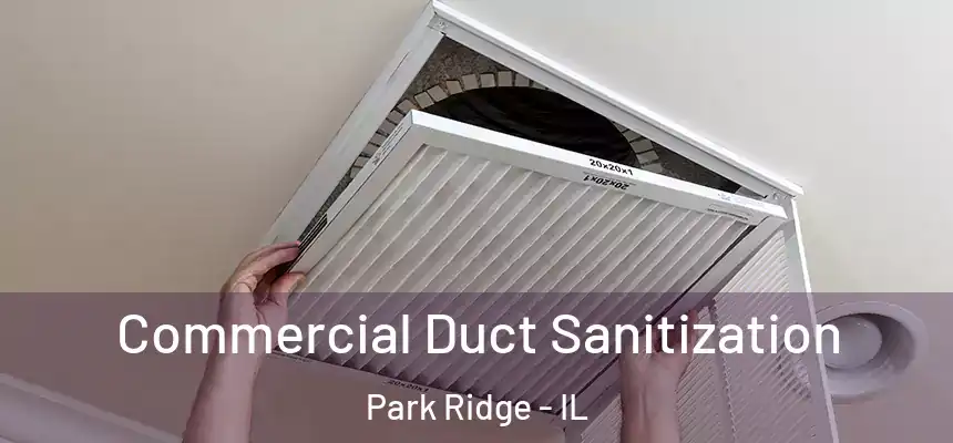 Commercial Duct Sanitization Park Ridge - IL