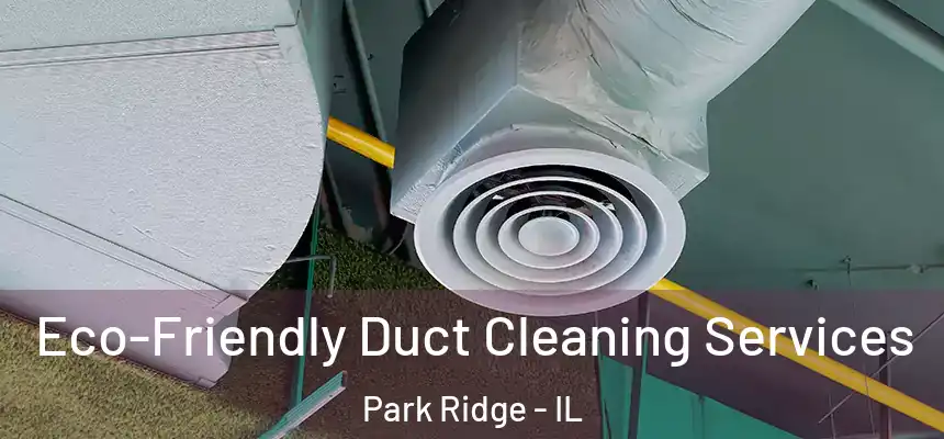  Eco-Friendly Duct Cleaning Services Park Ridge - IL