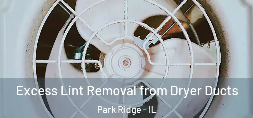 Excess Lint Removal from Dryer Ducts Park Ridge - IL