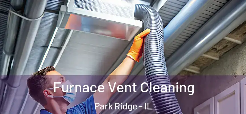 Furnace Vent Cleaning Park Ridge - IL