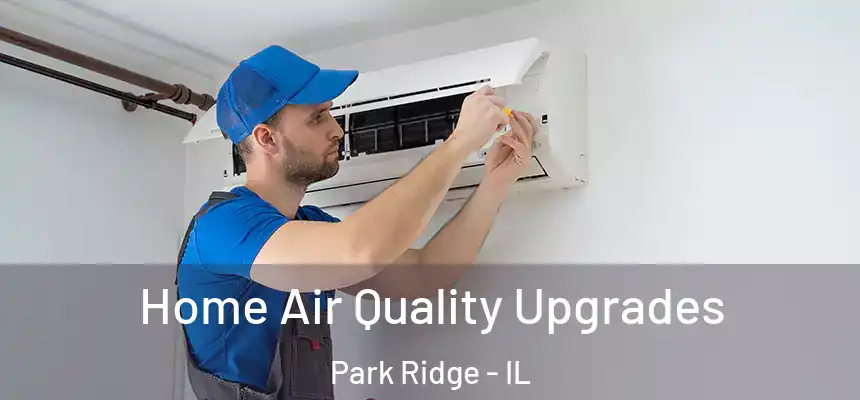  Home Air Quality Upgrades Park Ridge - IL