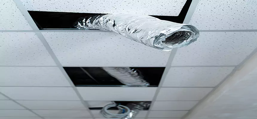 Affordable HVAC Sanitizing After Pest Removal in Park Ridge