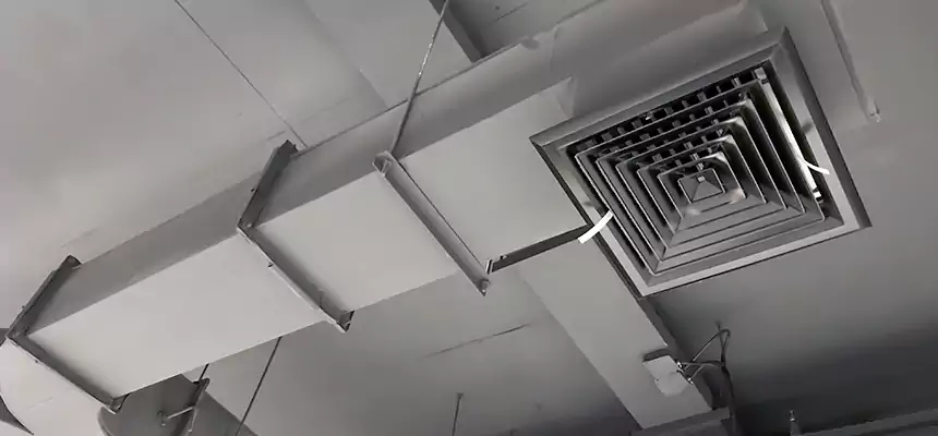 Restorative Allergy Relief Vent Cleaning – Coil, Blower & Housing Detail in Park Ridge