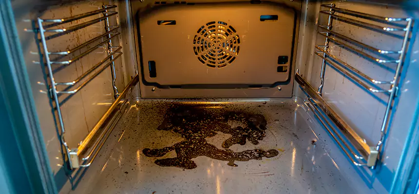 Our Dryer Vent Mold Cleaning Services in Park Ridge, IL