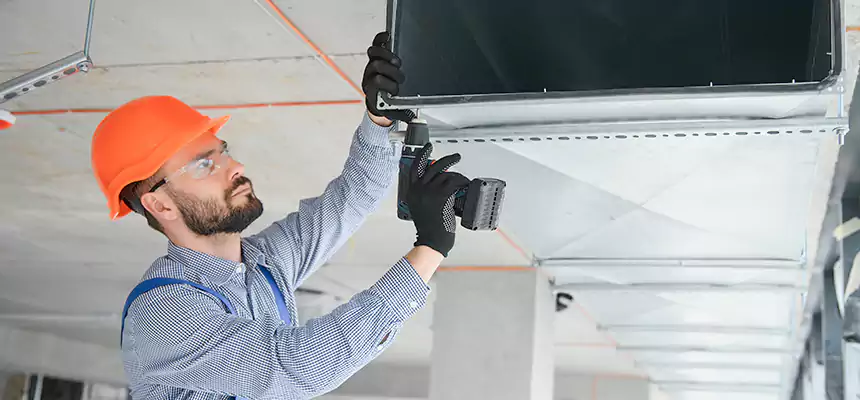 Roof Cap & Exterior Hood Lint Buildup Removal – Park Ridge