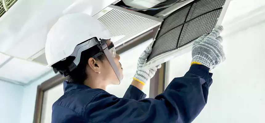 Our Mold & Mildew Removal from Air Ducts Services in Park Ridge, IL