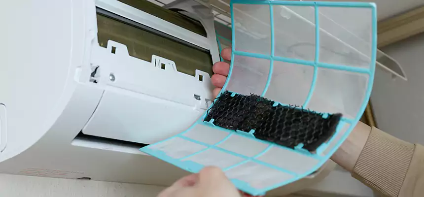 Gentle Ductwork Odor-Control Pet Dander Duct Cleaning in Park Ridge, IL