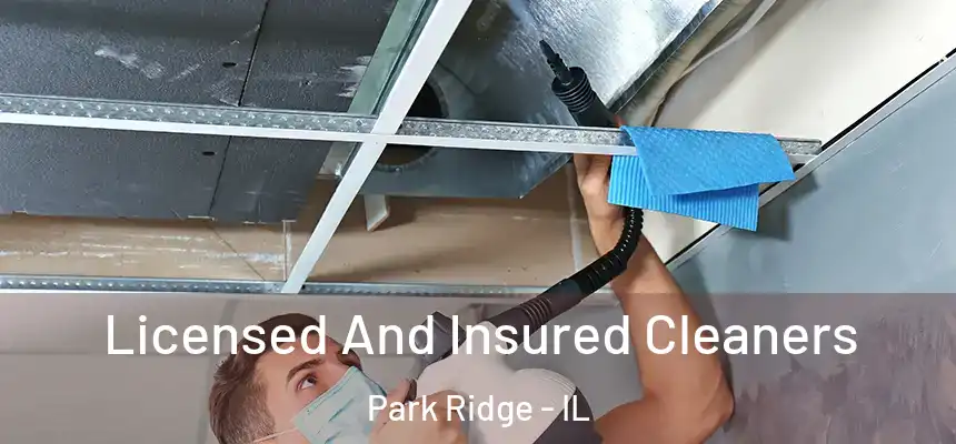 Licensed And Insured Cleaners Park Ridge - IL