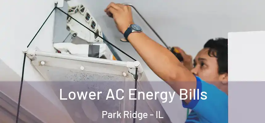  Lower AC Energy Bills Park Ridge - IL