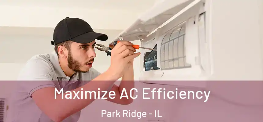 Maximize AC Efficiency Park Ridge - IL