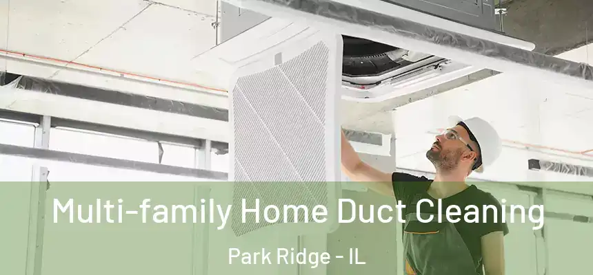 Multi-family Home Duct Cleaning Park Ridge - IL
