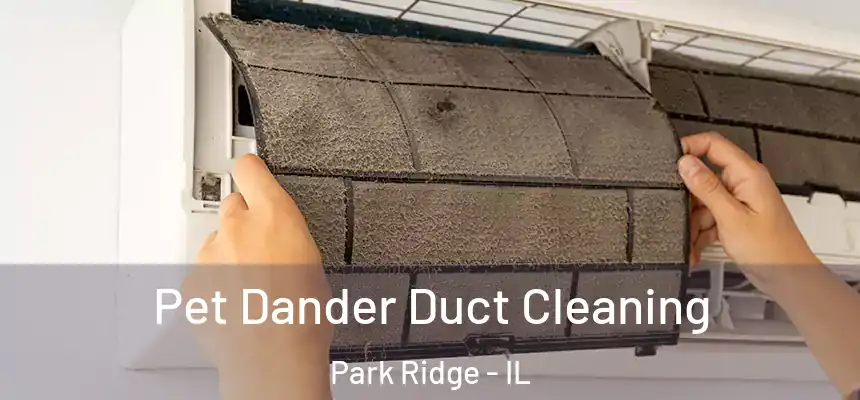 Pet Dander Duct Cleaning Park Ridge - IL