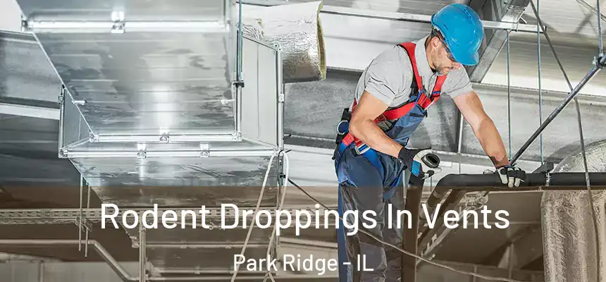 Rodent Droppings In Vents Park Ridge - IL