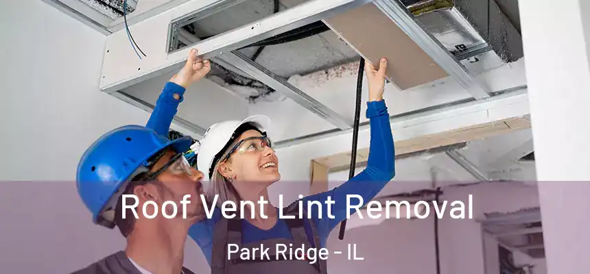 Roof Vent Lint Removal Park Ridge - IL