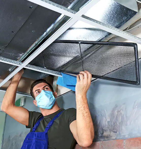 About Air Duct Bacteria Removal in Park Ridge