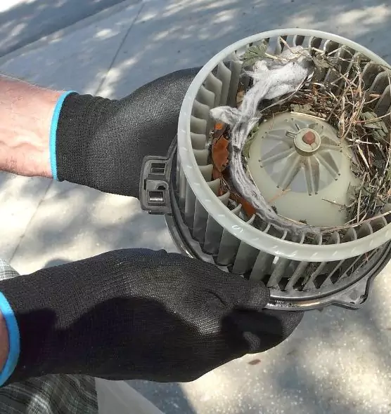 About Air Duct Mice Removal in Park Ridge, IL