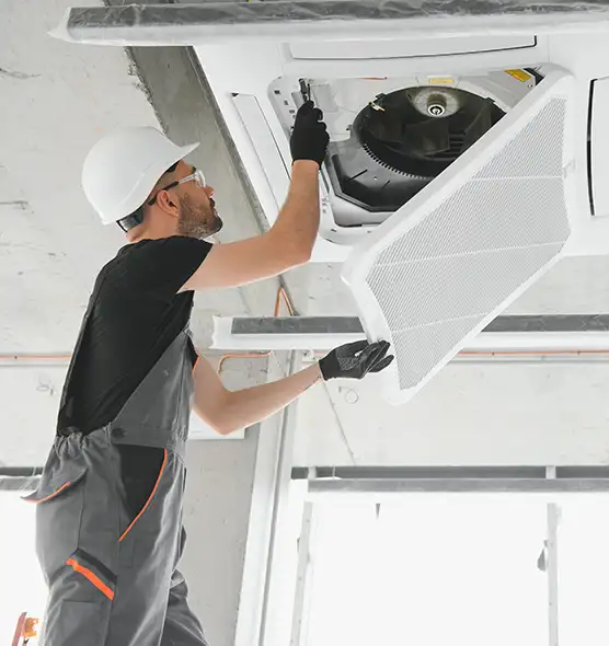 About Air Duct Rodent Removal in Park Ridge, IL