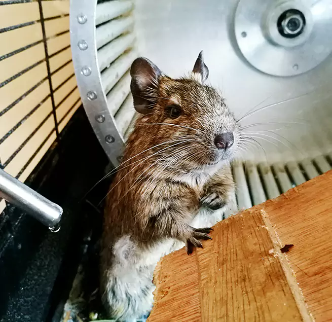 Why Homeowners & Businesses Trust Us Park Ridge, IL