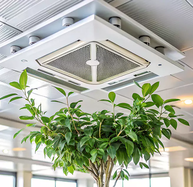 Why Homeowners & Businesses Trust Us in Park Ridge, IL?