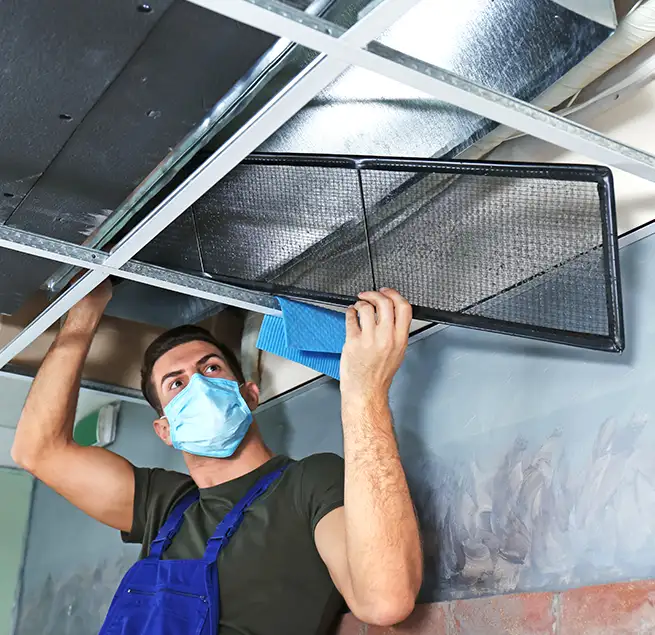 Why Homeowners & Businesses Trust Us in Park Ridge, IL?