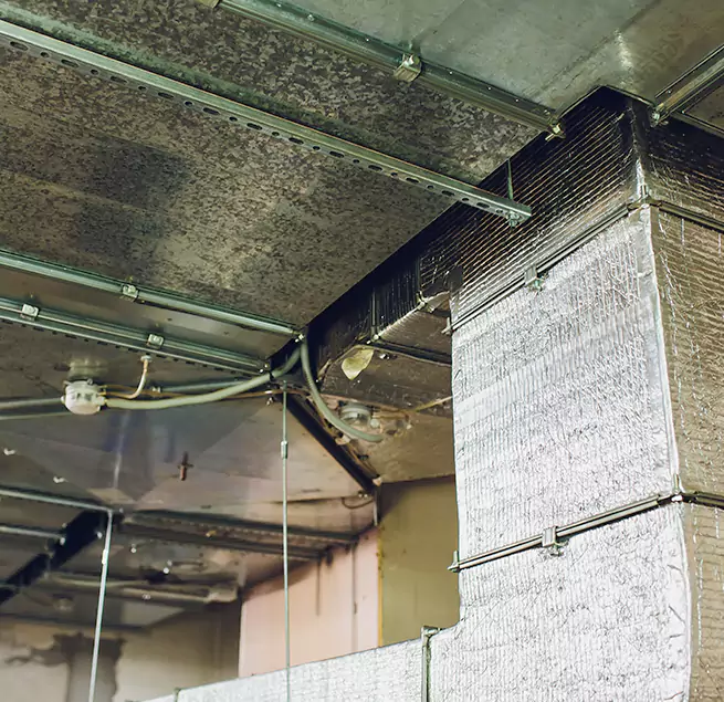 Why Homeowners & Businesses Trust Us in Park Ridge, IL?