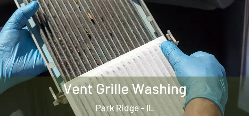 Vent Grille Washing Park Ridge - IL