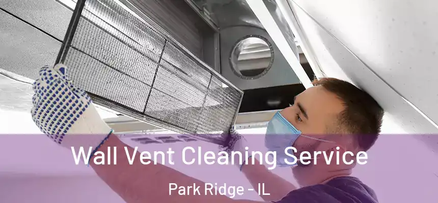 Wall Vent Cleaning Service Park Ridge - IL